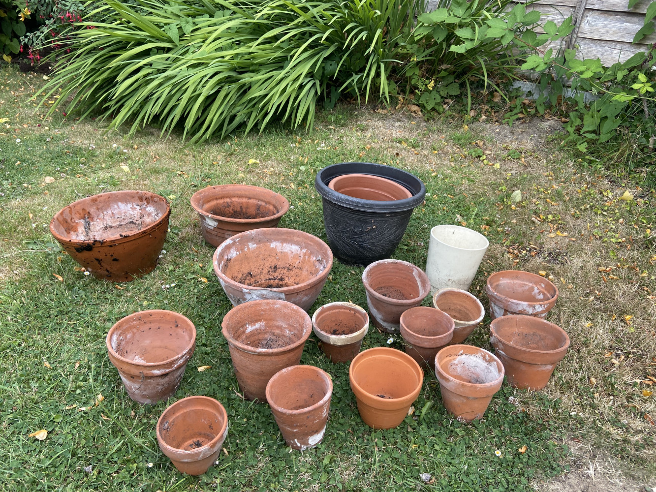 Mixed Garden Pots mostly vintage terracotta