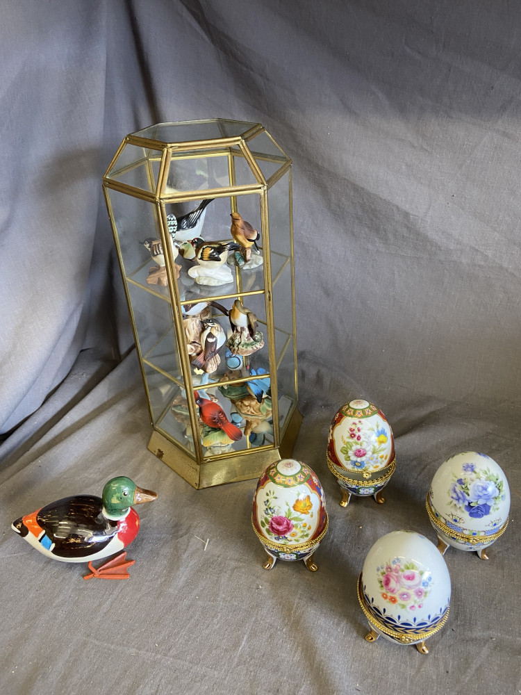 Birds in display case, 4 decorative eggs and a duck