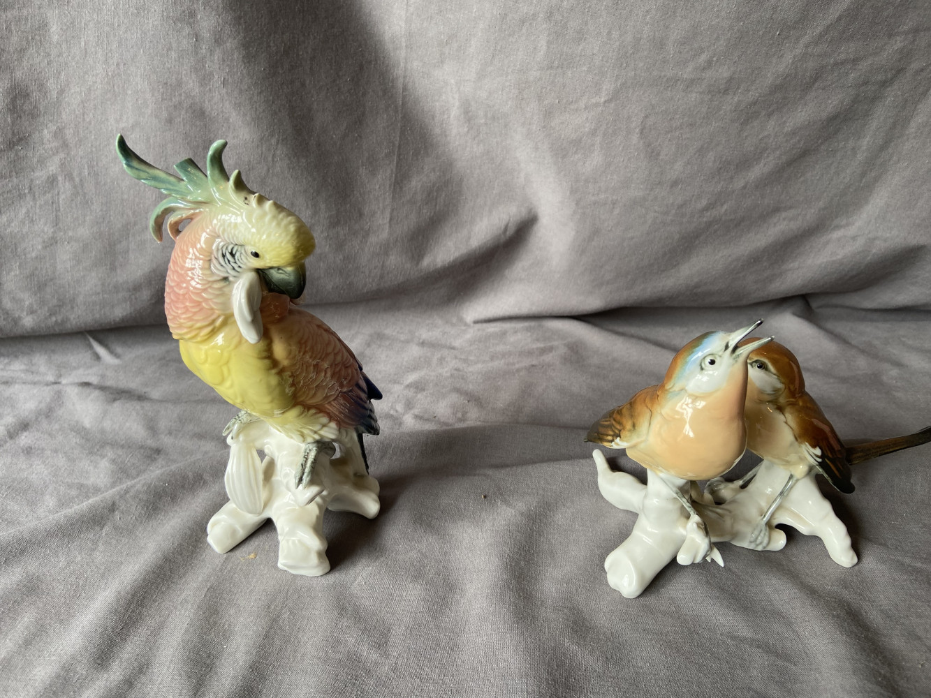 Karl ens cockatiel And 2 birds on a branch