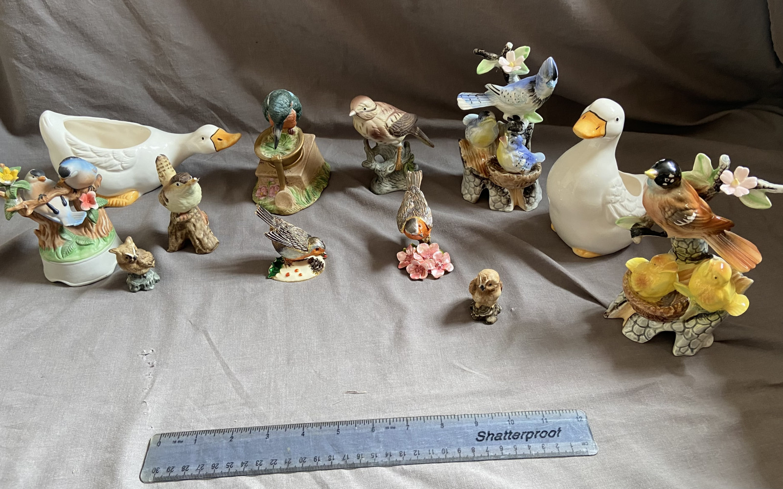 Collection of birds and ducks