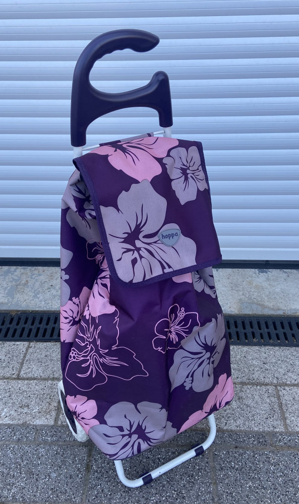 Trolley bag on wheels