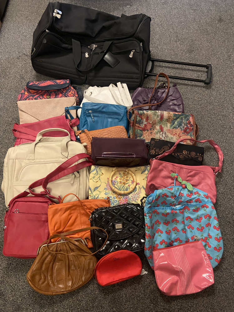 Ricardo Beverly Hills Pull along bag and 20 handbags