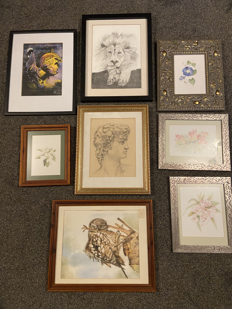 Collection of A4 or smaller pictures from a local artist in good quality frames
