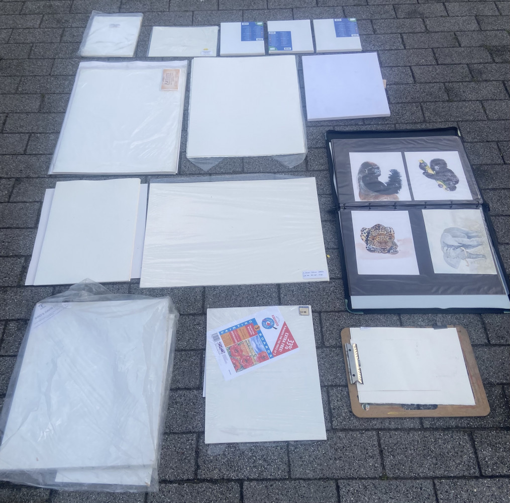 Artist canvases, water colour paper, large artist folder and other painting sheets