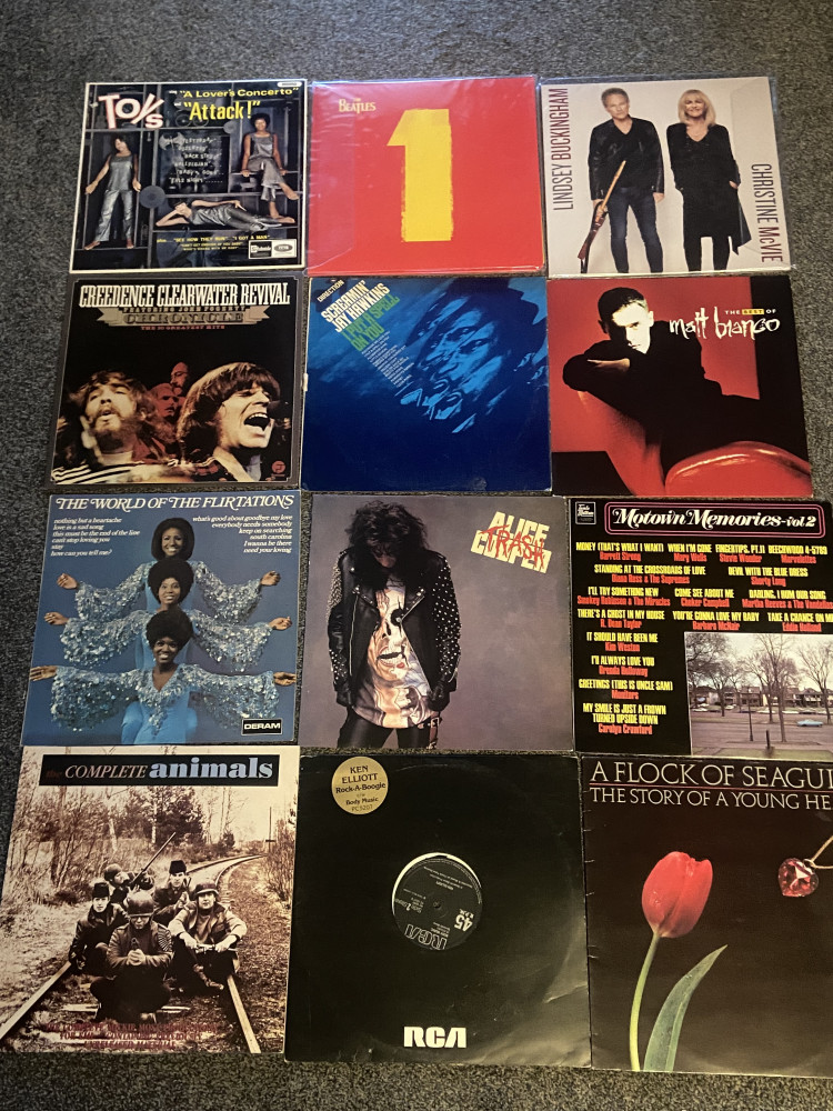 12 Collectable 12inch vinyls