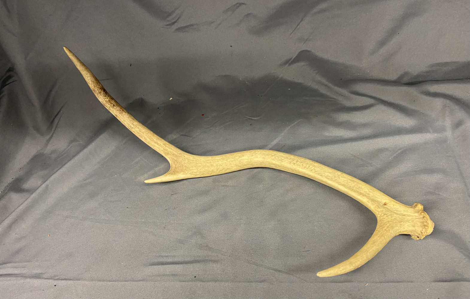 Faux antler