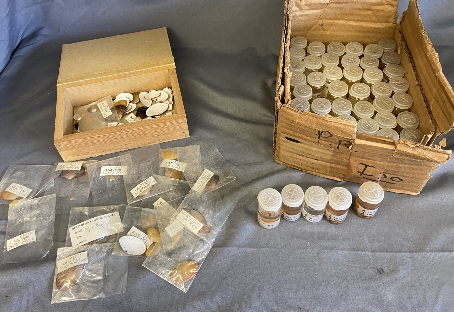 70s British Antarctic Survey Specimens