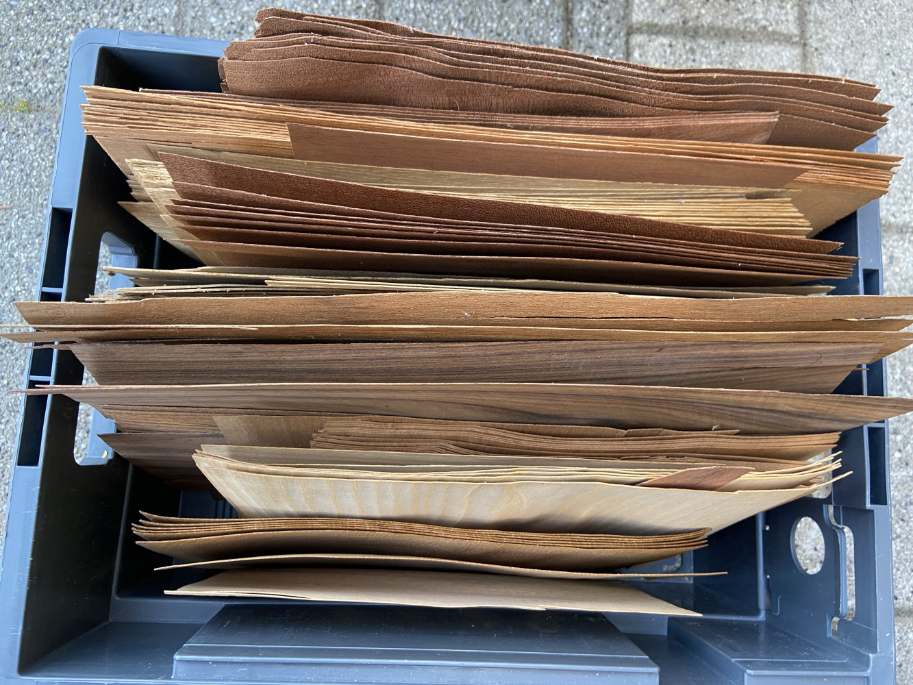 Large collection of wood vaneers