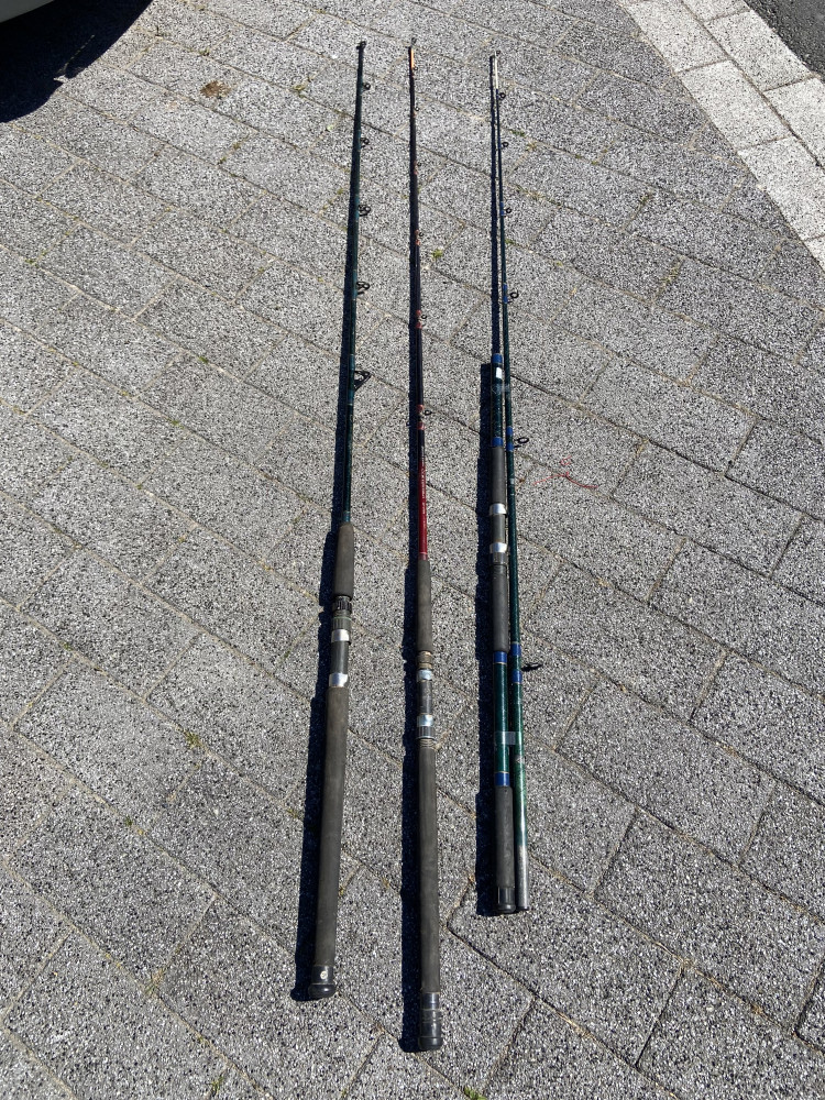 3 Sea Fishing Rods