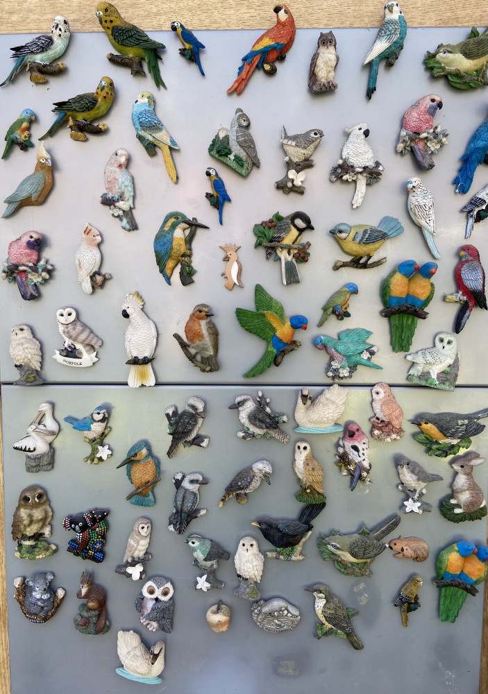Large collection of bird and other magnets