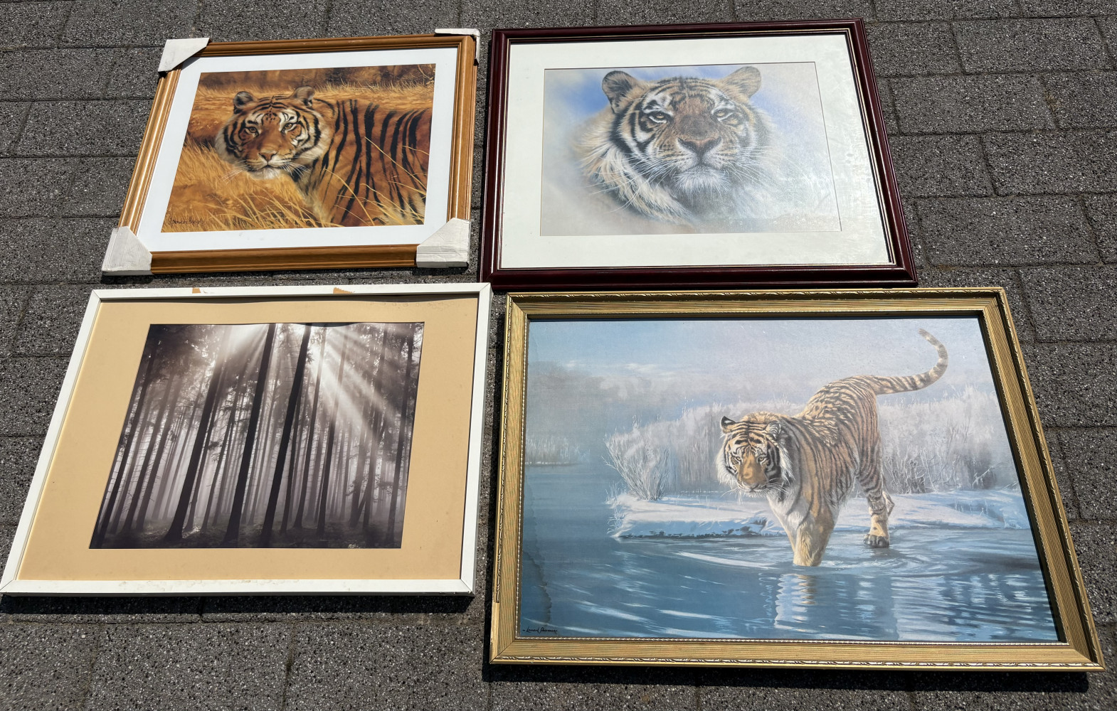 3 fantastic tiger pictures and one other
