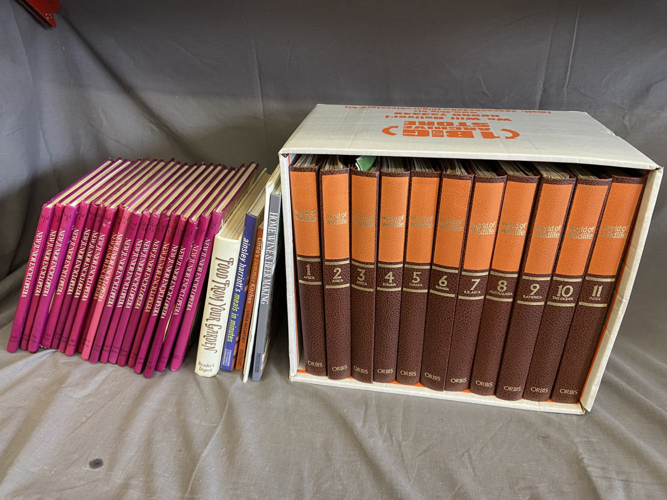 Set of Junior encyclopedias and other wildlife books