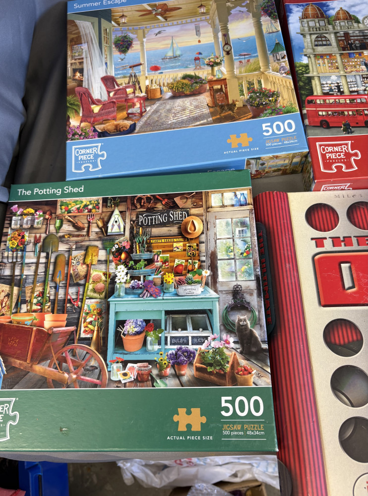 Puzzles and quiz book