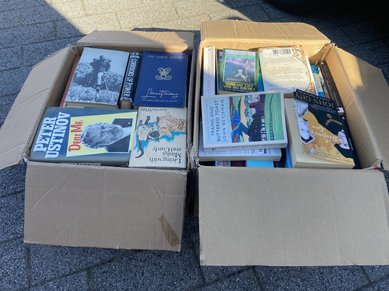 2 large boxes full of books