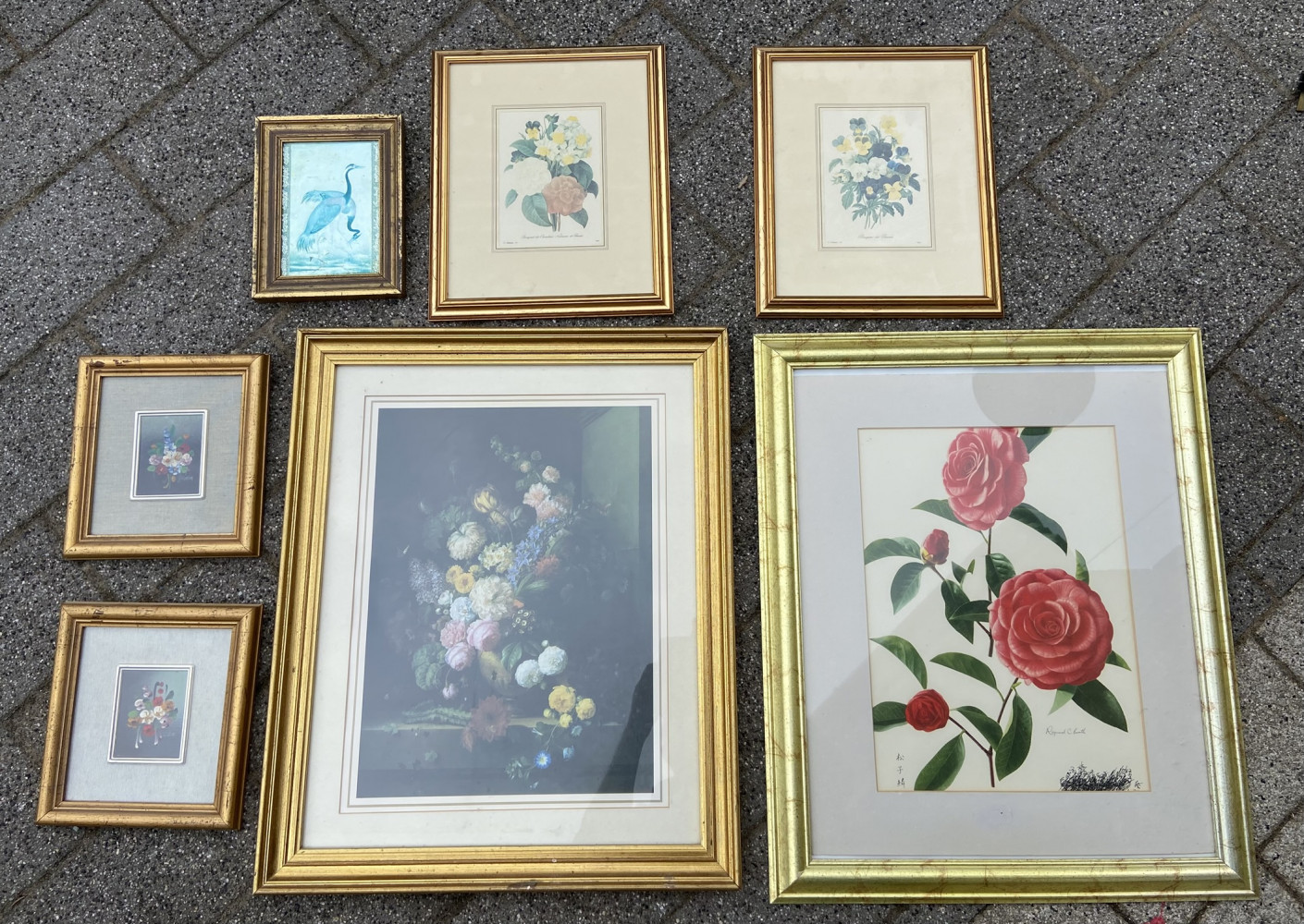 7 pictures mostly of plants